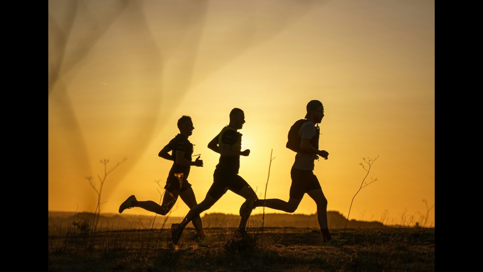 Best Time of Day to Work Out: Morning vs Evening for Sleep, HRV, and Performance