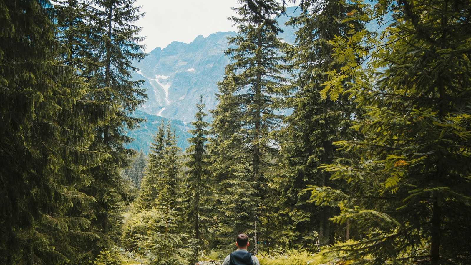 Hiking Zone 2: Why Your Heart Rate Climbs on the Trail (And How to Train It)