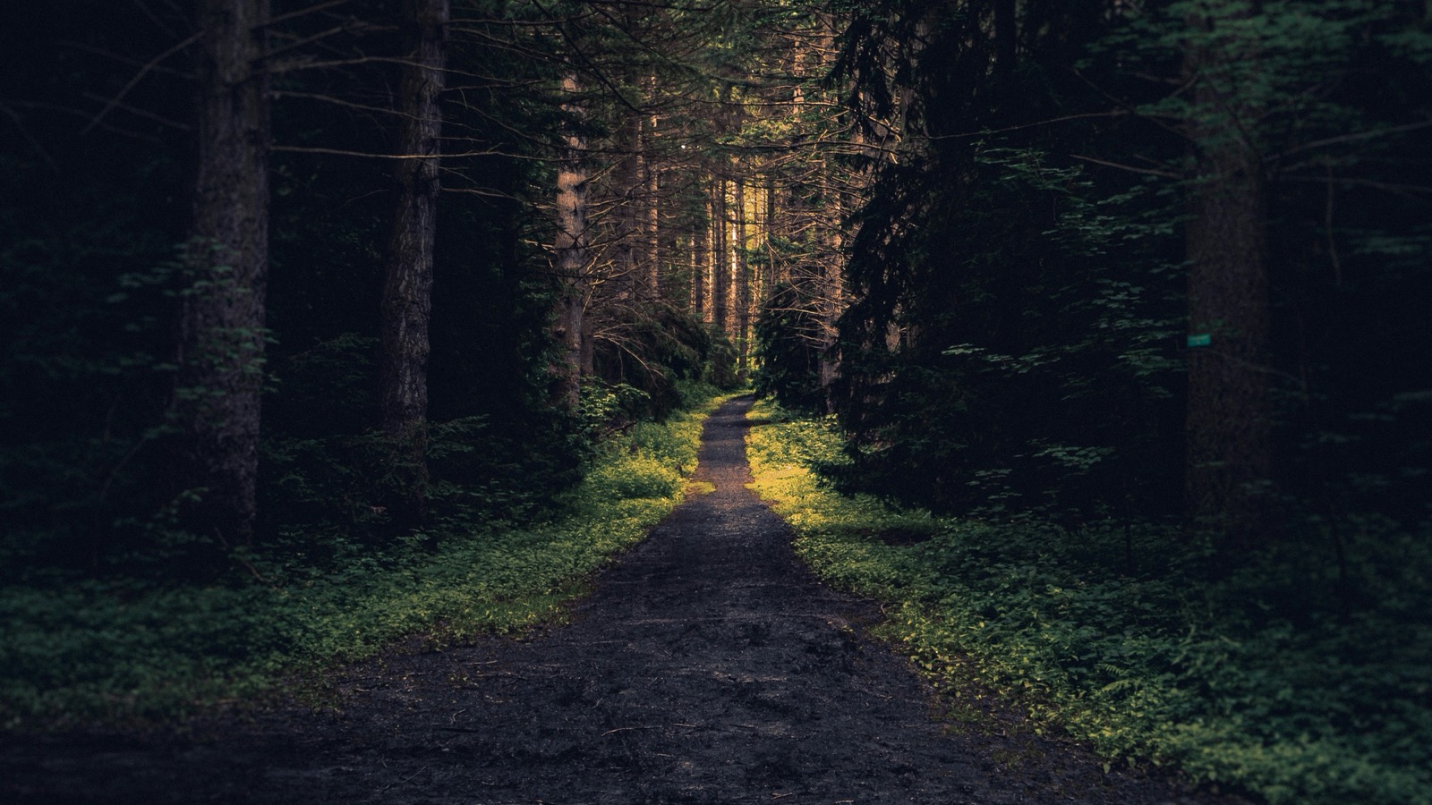 Interval Walking Training: Why 3 Minutes Fast, 3 Minutes Slow Works