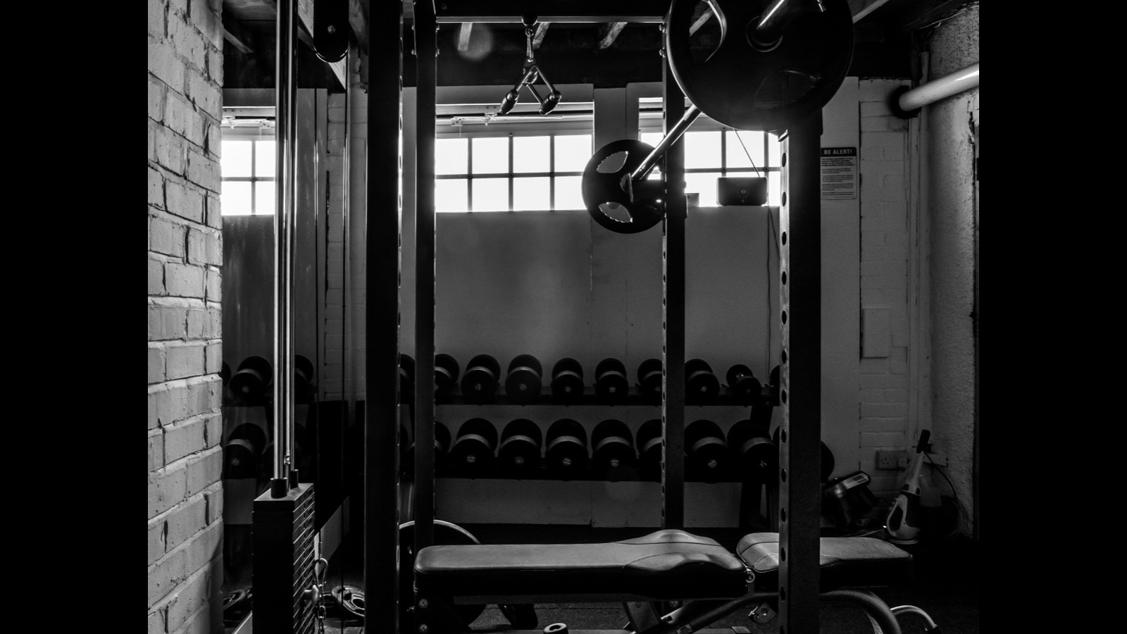 Does Cardio Kill Your Gains? What the Interference Effect Actually Says