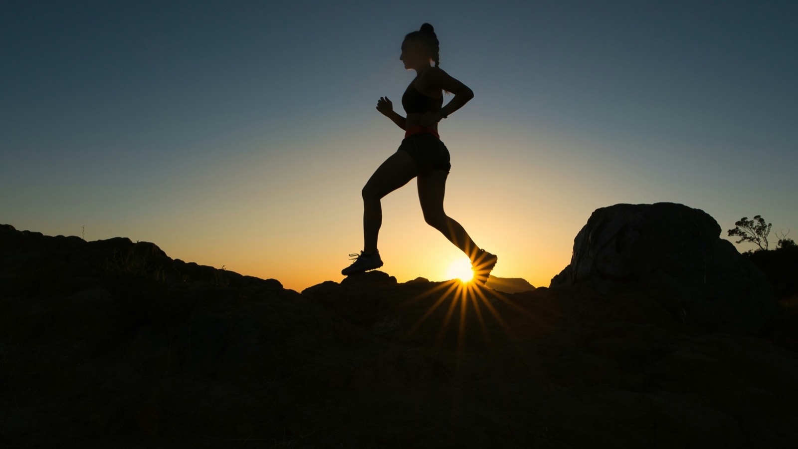 How to Improve Your VO2 Max: A Wearable-Guided Approach