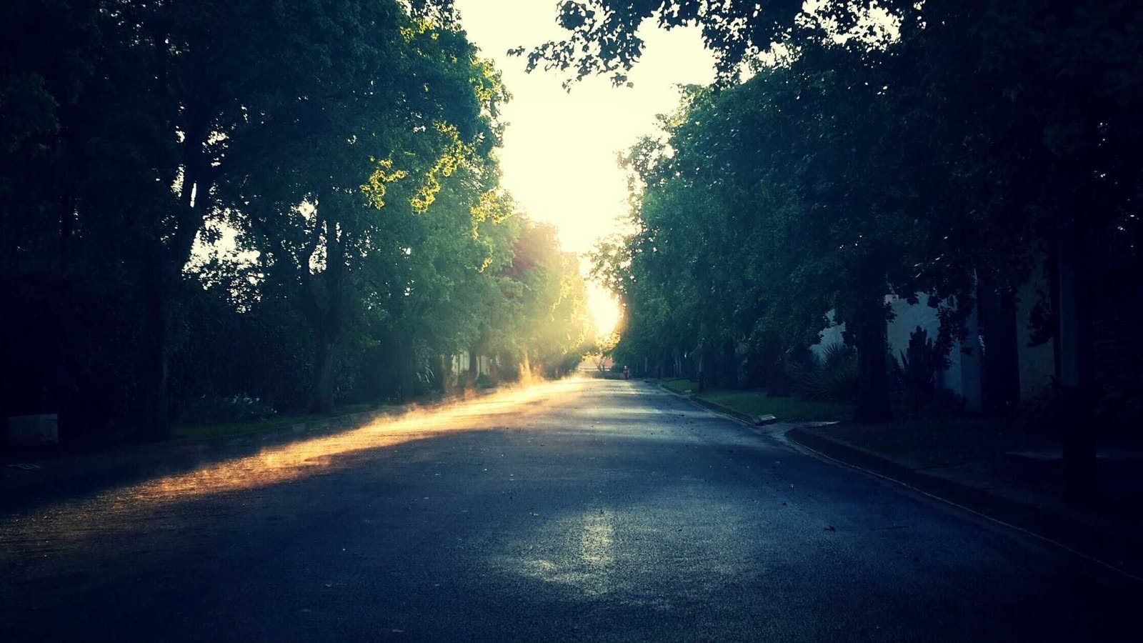 Morning Sunlight: The cheapest performance enhancer you are ignoring
