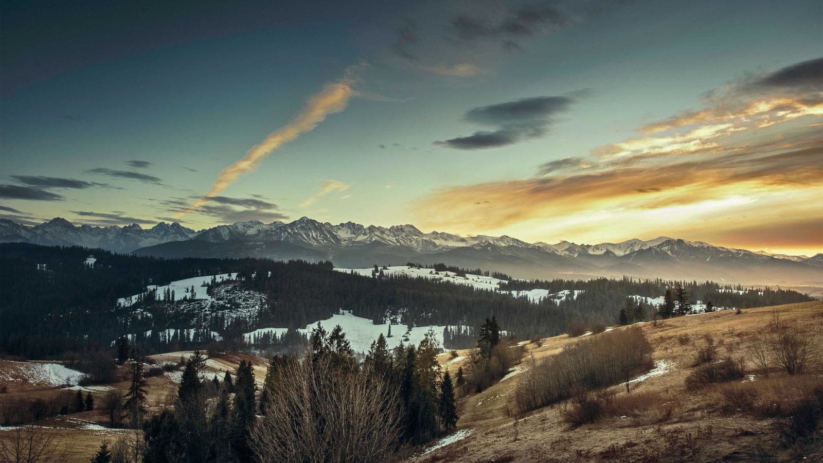 Sleep Deprivation and HRV: What Actually Happens and How to Recover