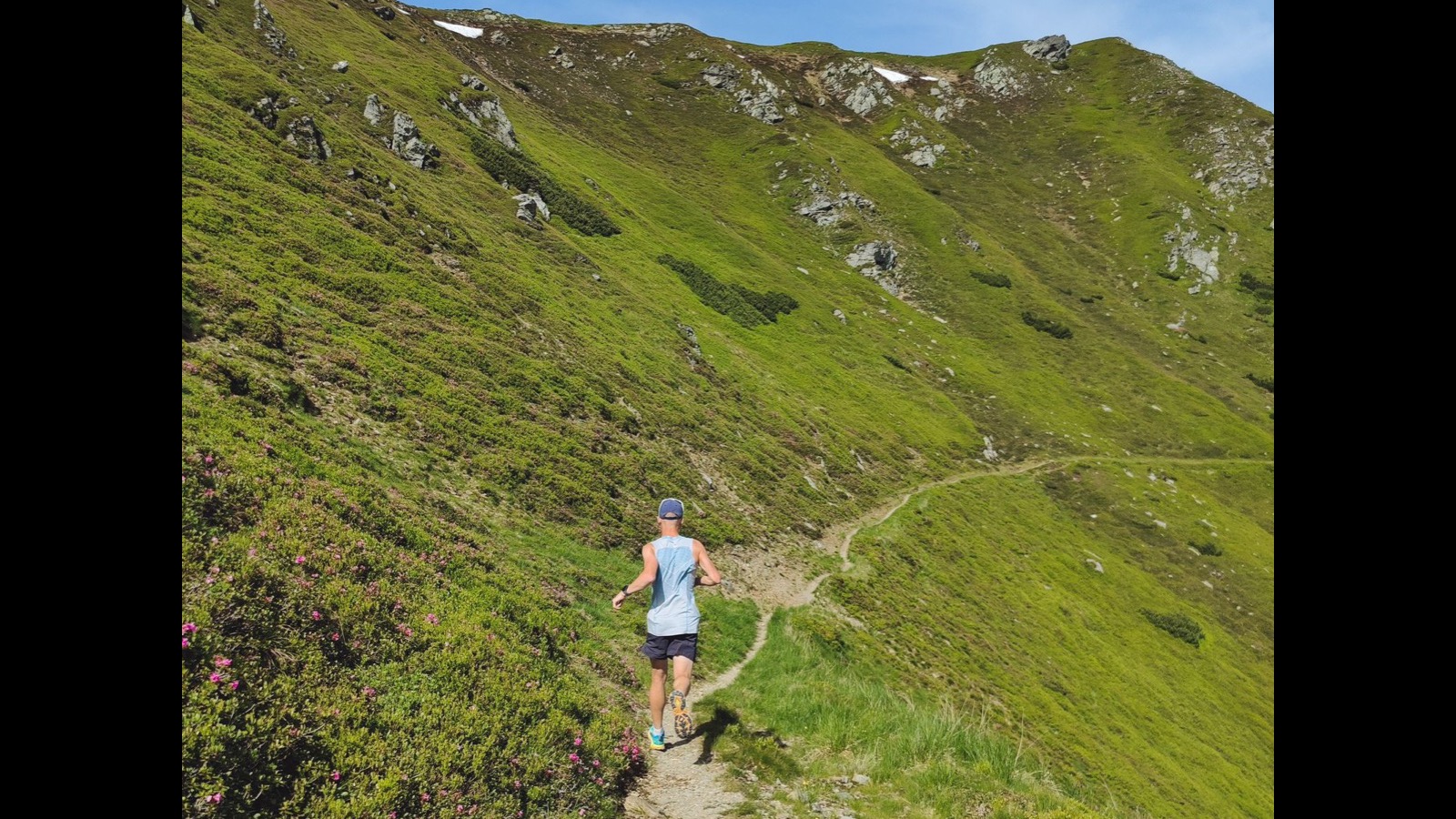 Zone 2 Cardio: The Longevity Training Your Watch Can Track