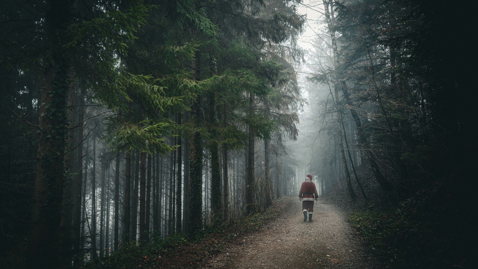 Walking Steadiness: What Your Gait Data Says About Your Health (and How to Improve It)