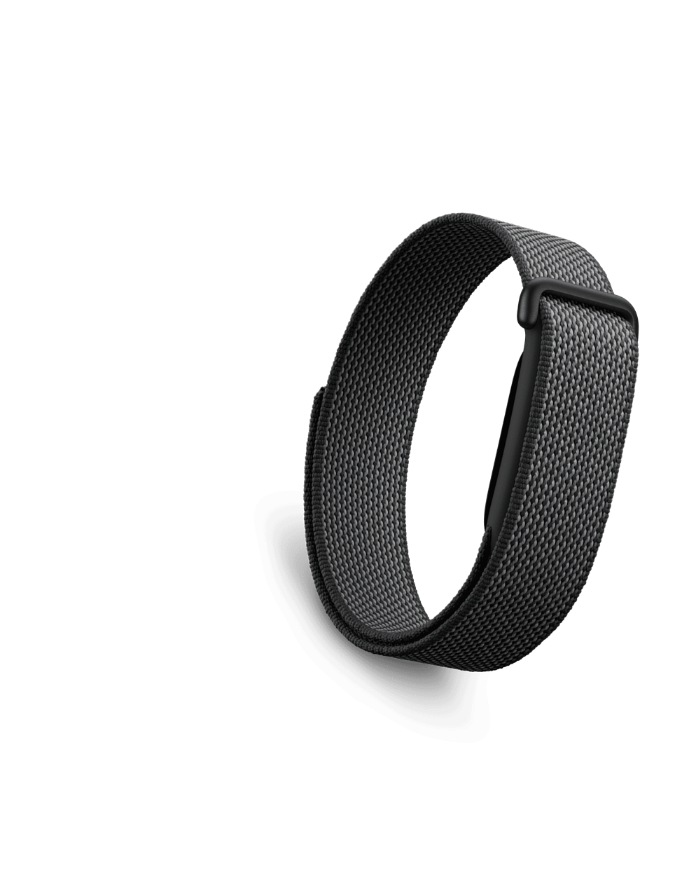Google Fitbit wearable band